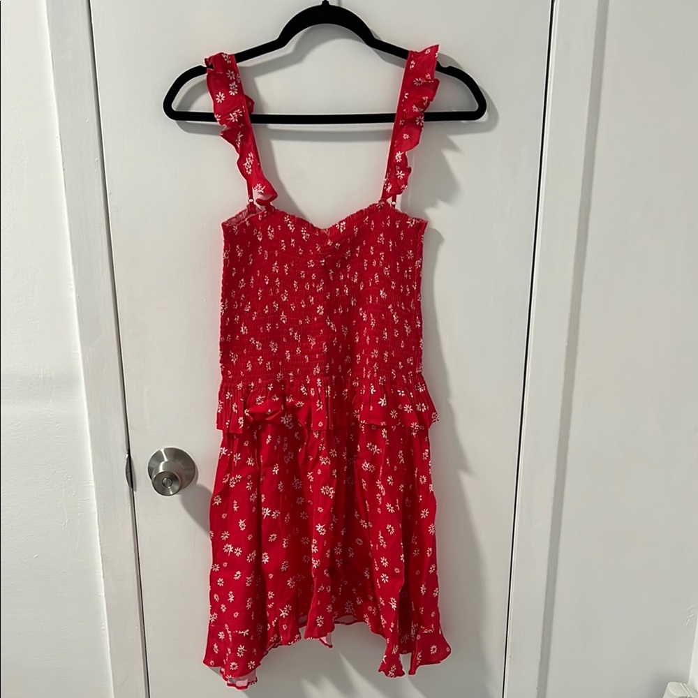 Blue Life Red Floral Mini Dress